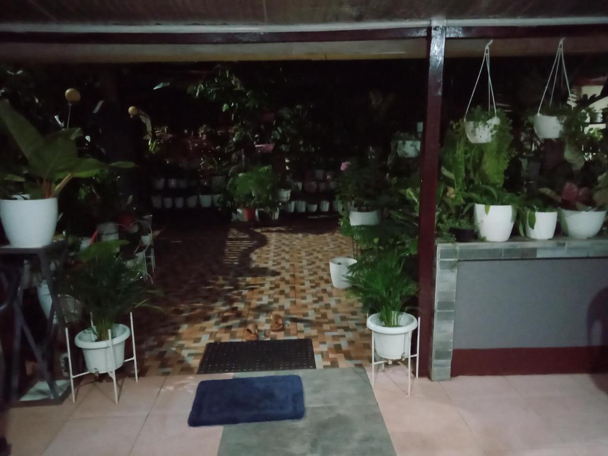 Dalinda'S Homestay Puerto Princesa Zewnętrze zdjęcie