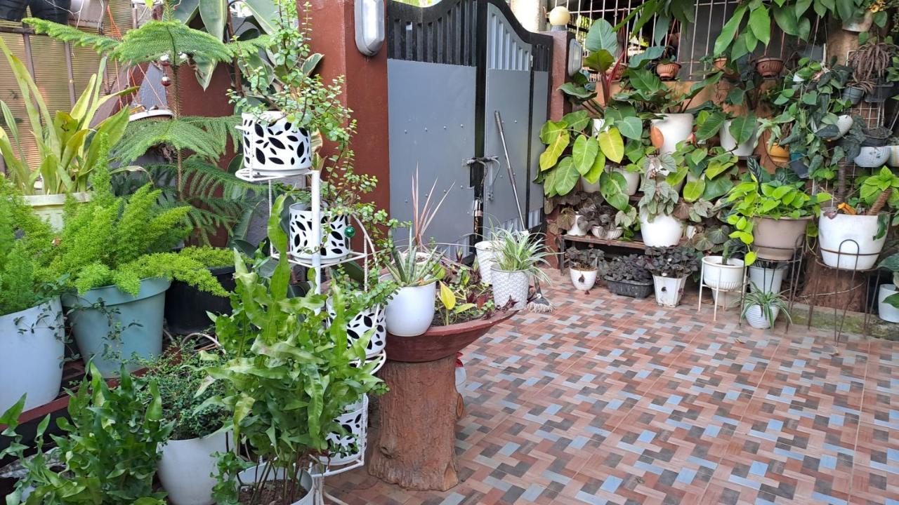 Dalinda'S Homestay Puerto Princesa Zewnętrze zdjęcie